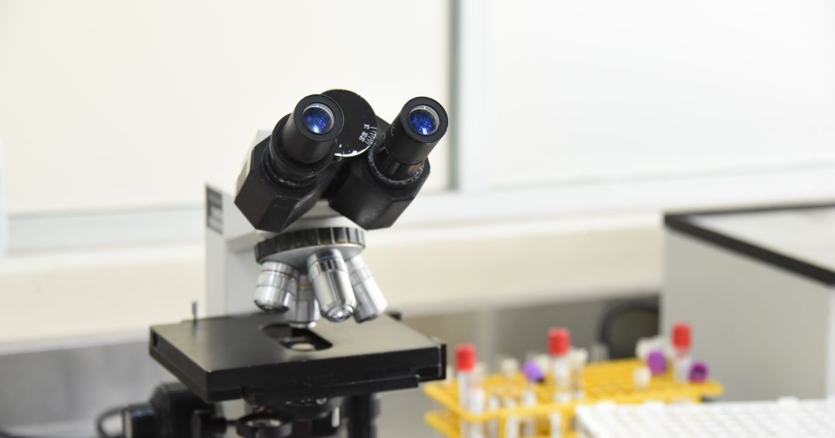 AI przy biopsji prostaty: drugi odczyt czy równoległa pomoc?
