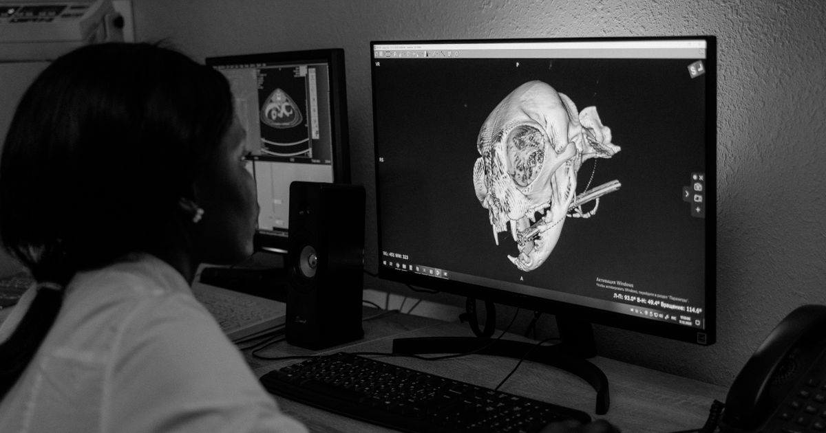 AI w radiologii prywatnej: wyrób medyczny czy workflow?
